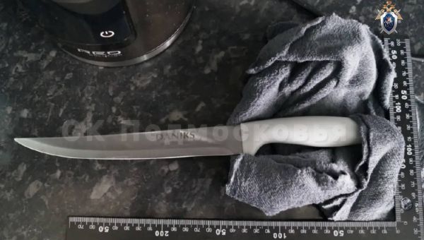 Жительница Подмосковья поставила в отношениях с любимым кровавую точку