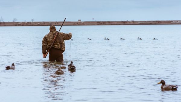 Подмосковье открывает весеннюю охоту