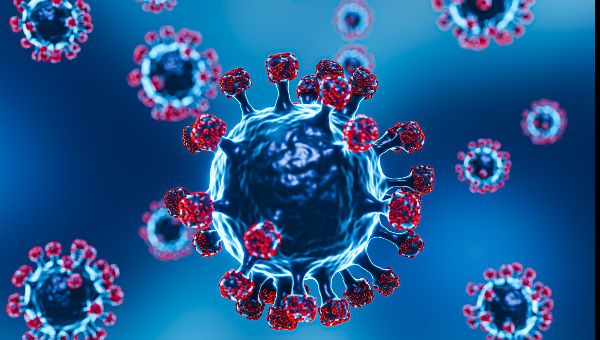 Новая пандемия — правда или вымысел?