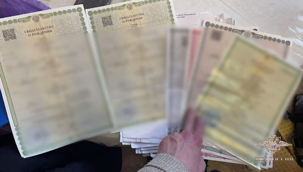 Афера века: мошенники «родили» 600 несуществующих детей ради выплат