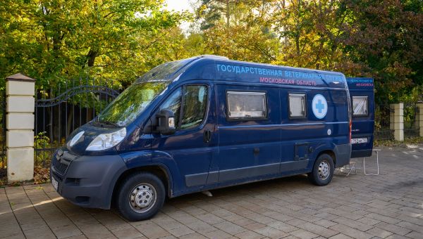 Передвижные ветеринарные пункты вновь появились в Подмосковье