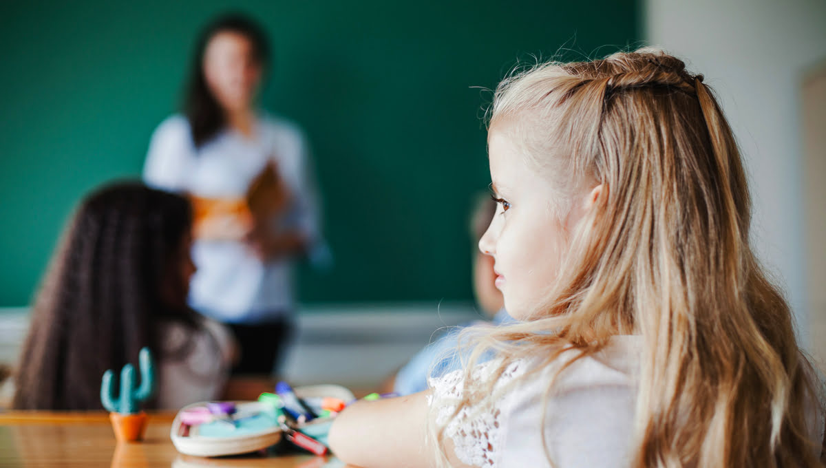 «Знак качества» для школ: Рособрнадзор запустил новую инициативу