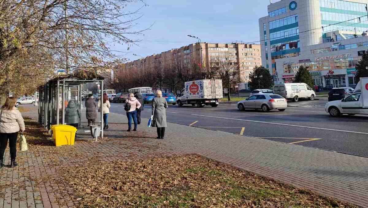 В этом регионе России — рекордное количество пешеходов-нарушителей