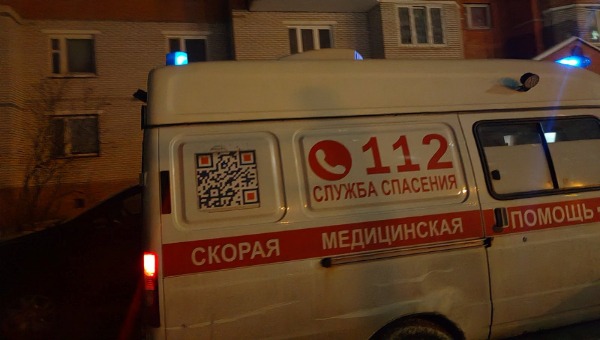 Хозяйская собака покусала ребёнка в подмосковном СНТ