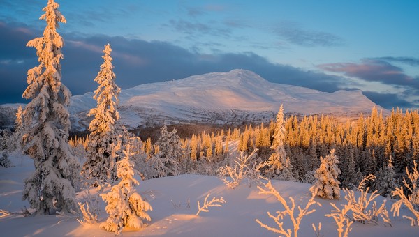 Аномальное тепло ожидается в выходные в Подмосковье