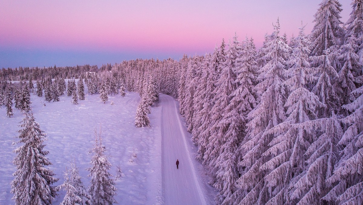 Лёгкая примета погоды на зиму-2025 — стоит только посмотреть под ноги