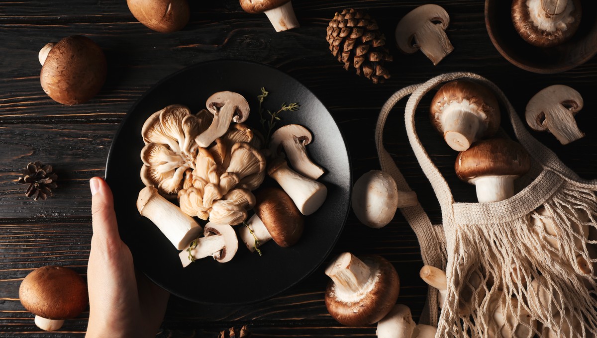Кому и какие грибы есть опасно, рассказал врач