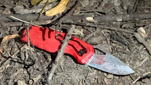 В парках столицы за сутки обнаружено два тела с ножевыми ранениями