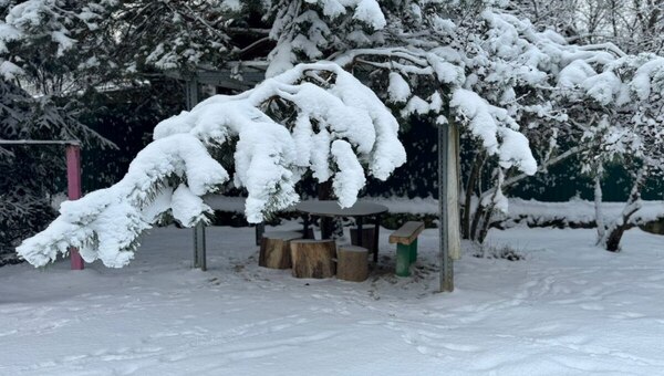 Когда в Москву и Подмосковье вернутся морозы? Синоптик дал ответ