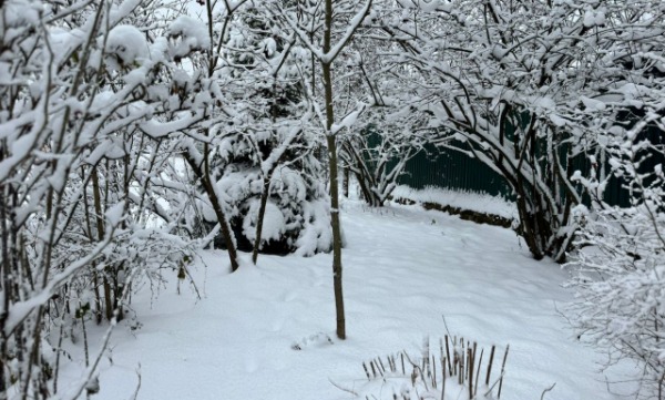 Местечко Черусти в Подмосковье поставило ещё один природный рекорд