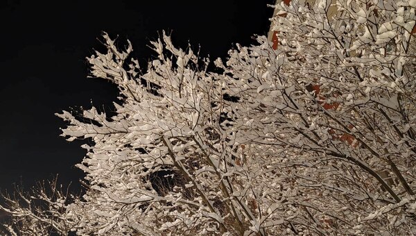 Морозы в Подмосковье в ночь на 24 декабря поставили рекорд 2025 года