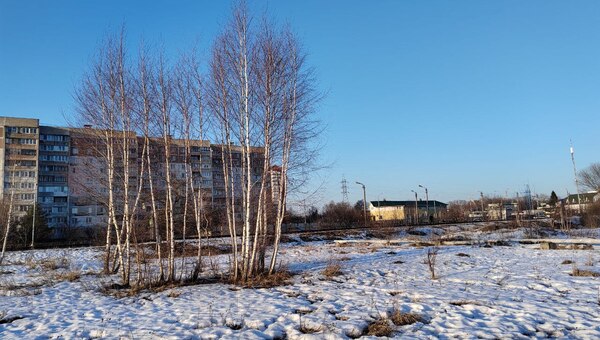 В этих районах Подмосковья снег сойдёт уже 25 марта