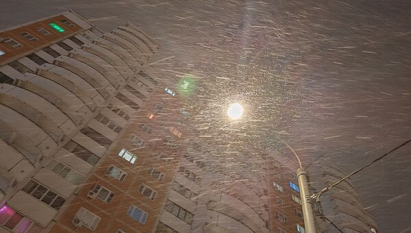 Мокрый снег ожидается в Подмосковье в эти сутки на ближайшей неделе