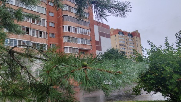 В эти дни температура в Подмосковье обрушится до 18 градусов тепла днём