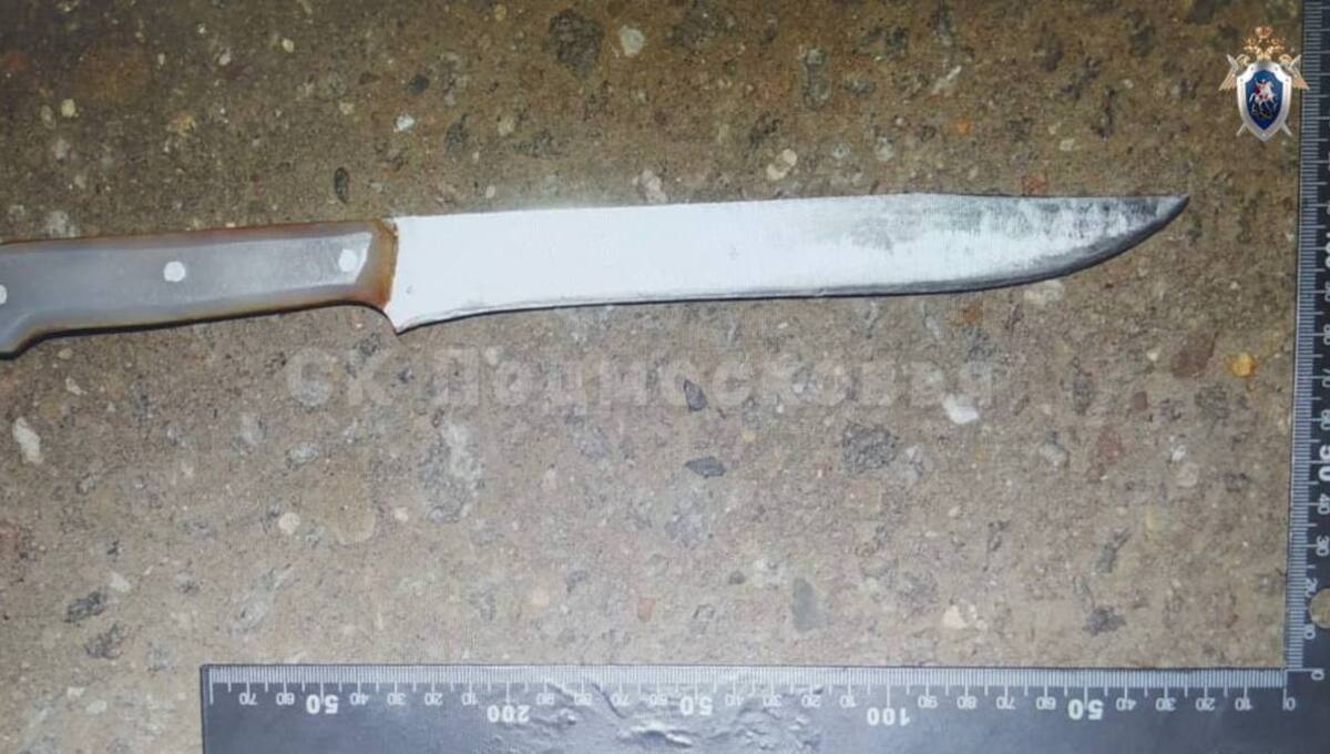 Ссора на дороге в Подмосковье переросла в кровавое убийство