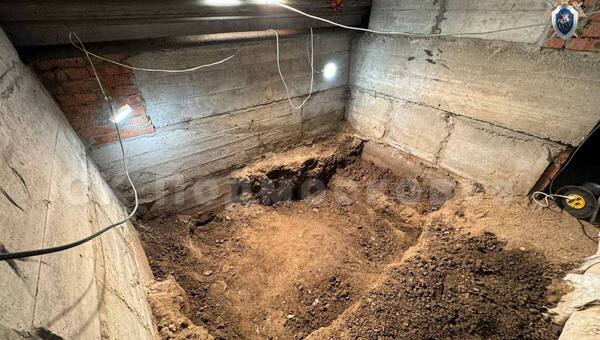 Закопал в подвале. В Подмосковье задержан отчим, убивший маленькую падчерицу