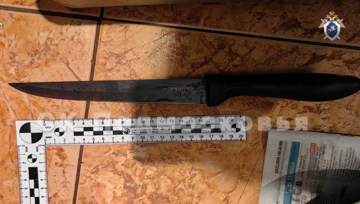 58-летняя жительница Подмосковья заколола подругу при свидетелях