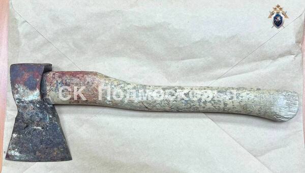 В Подмосковье 84-летнюю женщину убили топором