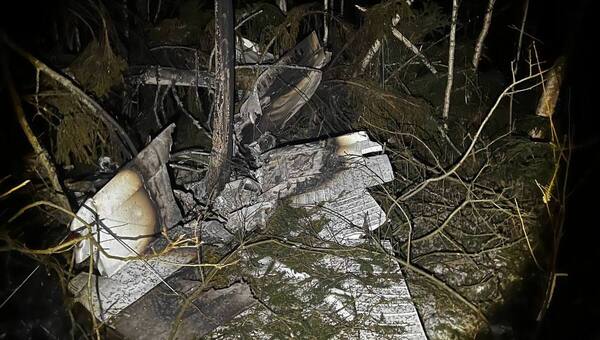 Эксперты подсчитали ущерб от крушения самолёта под Серпуховом