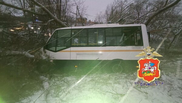 Автобус с пассажирами в метель протаранил дерево в Подмосковье
