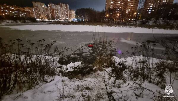 Бросились спасать детей из ледяной воды. Появились подробности происшествия на льду в Подмосковье