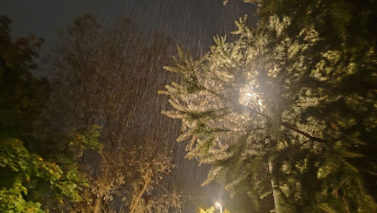 Холодные дожди обрушатся на Подмосковье в этот день