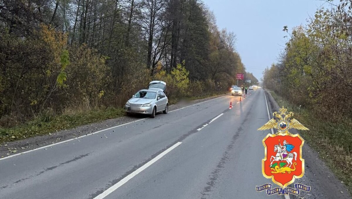 За одну ночь на одной дороге в Подмосковье насмерть сбили двух мужчин