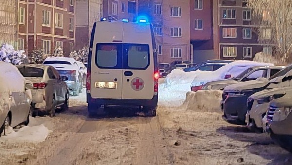 В подмосковном доме найдены три трупа