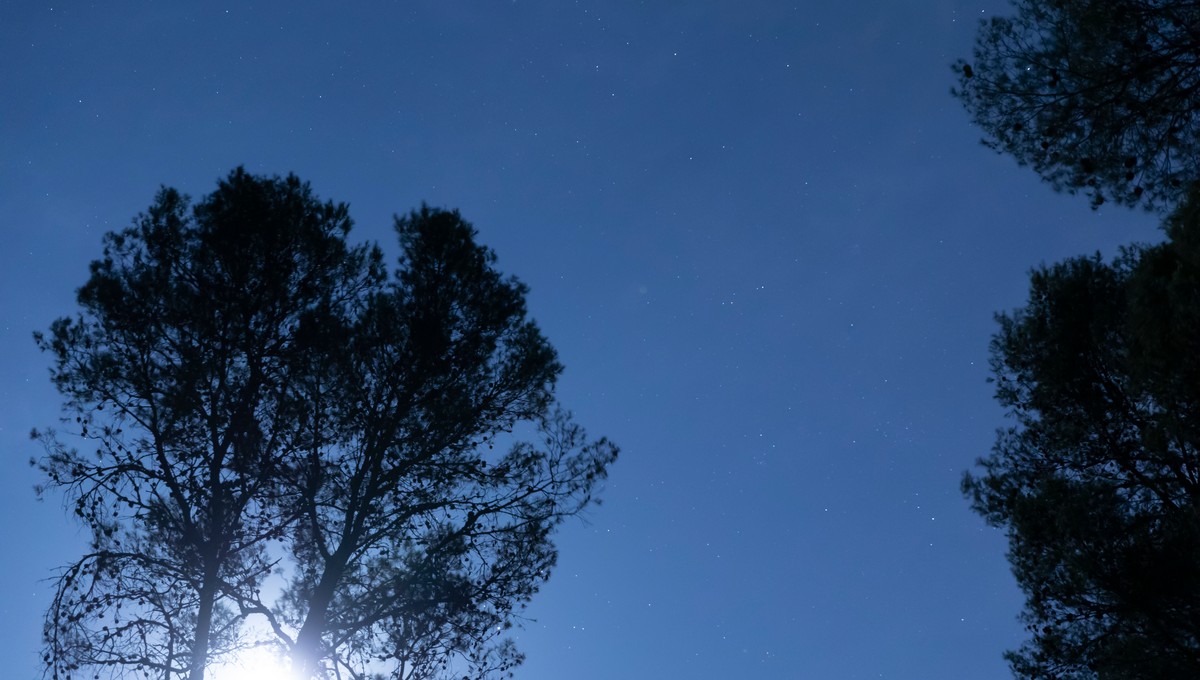 Апогей холода: в этом городе Подмосковья была самая холодная ночь