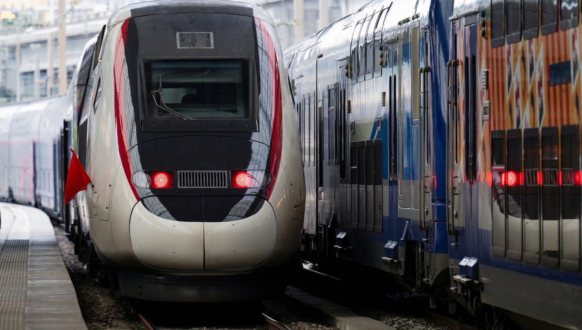 Стало известно, до каких городов России растянется МЦД