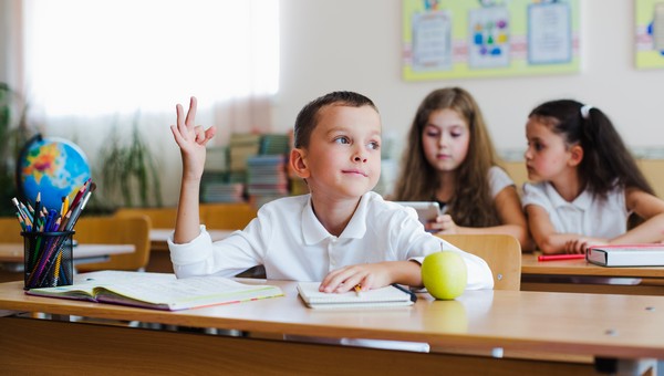 В этих городах Подмосковья — лучшие школы