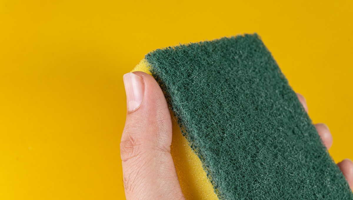 Рассадник бактерий: хозяйкам рассказали, как часто нужно менять губку для посуды