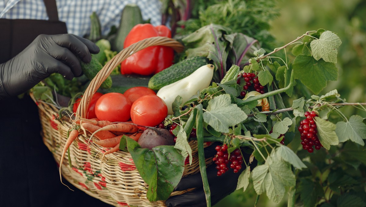 Урожай-2026 под угрозой? Аномальное тепло сыграло злую шутку