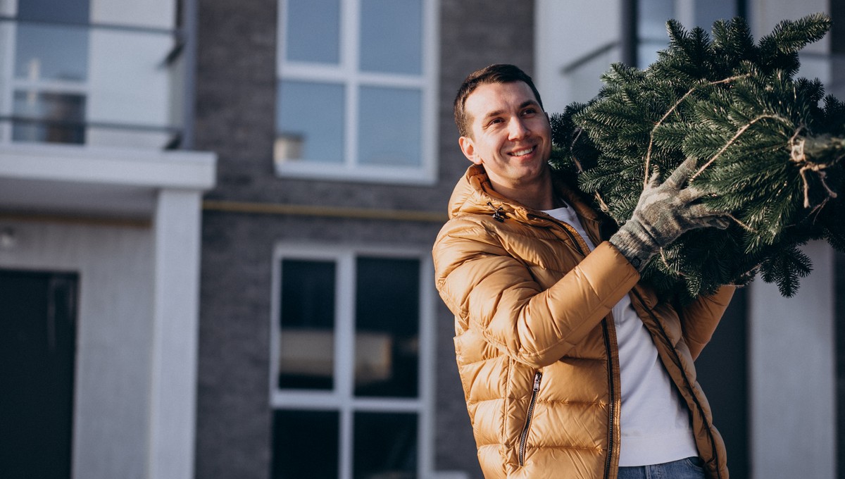 Какую ёлку можно бесплатно провезти в электричке в Москве