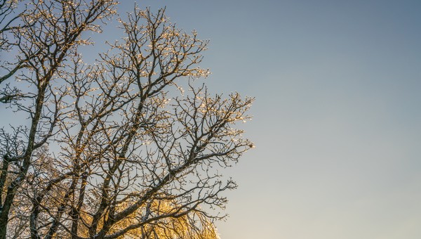 И снова осень: жителям Подмосковья пообещали тёплые выходные