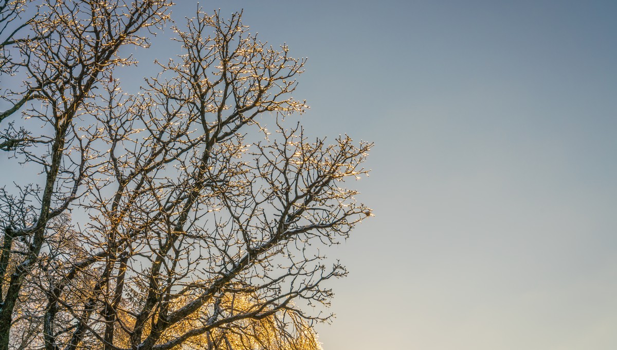 И снова осень: жителям Подмосковья пообещали тёплые выходные