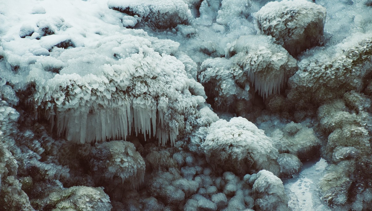 Гриб сотворил чудо: в подмосковном лесу заметили редкое природное явление