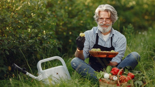 Решающие месяцы для урожая в 2026 году назвали россиянам