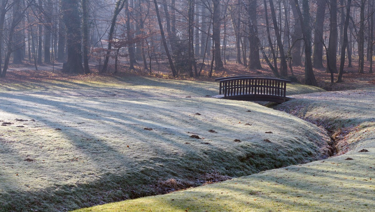 Синоптик Вильфанд: в Подмосковье выпадет «не тот снег»