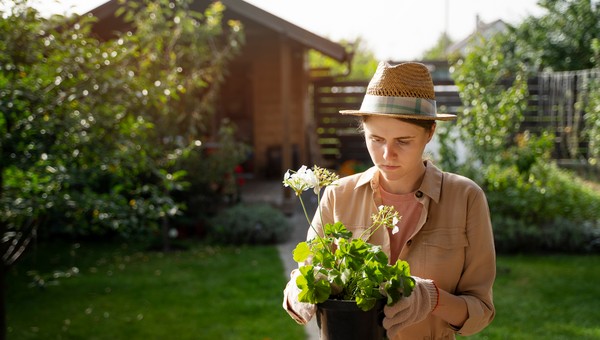 Тельцам — грядки, Ракам — пирог из ягод: чем заняться на даче каждому знаку зодиака