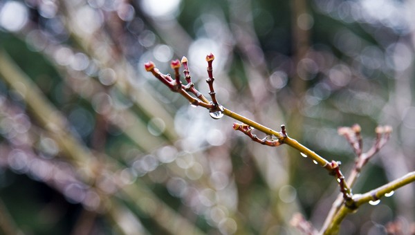 Синоптики обескуражили прогнозом на апрель-2026