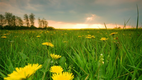 Из-за неожиданной причины в Подмосковье ввели «жёлтый» уровень опасности