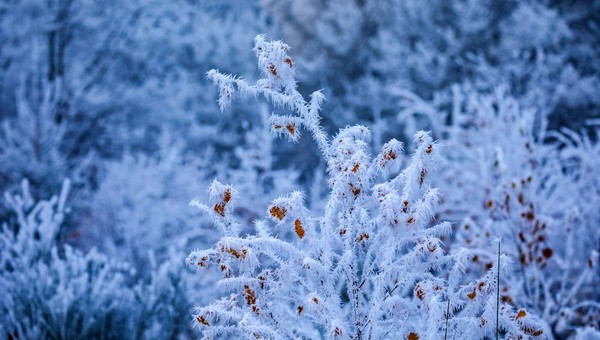 Крещение принесёт экстремальный холод в Подмосковье