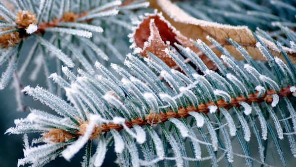 Бодрящий мороз придёт в Подмосковье в этот день