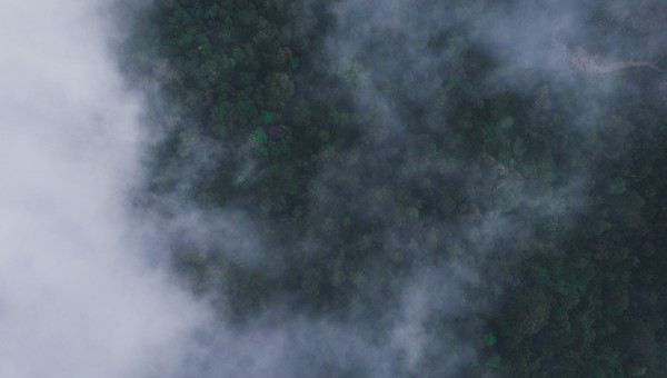 Подмосковье в ночь накроет мгла