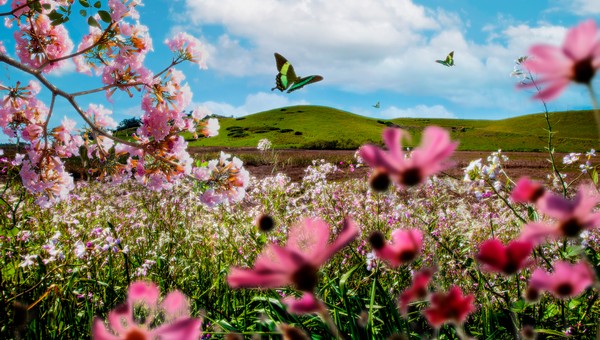 Столбики термометров в Подмосковье вновь поползут вверх