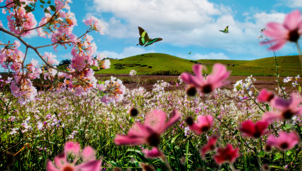 Столбики термометров в Подмосковье вновь поползут вверх