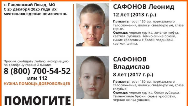 Два маленьких брата пропали в Подмосковье