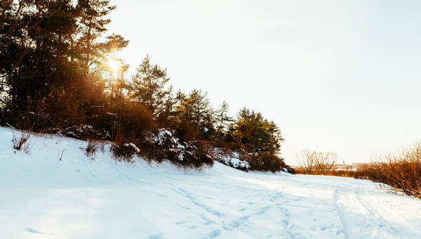 Неожиданную погоду принесёт зима-2025/2026 в Подмосковье