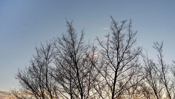 Скоро снег: народные приметы 2 ноября намекнули на смену погоды